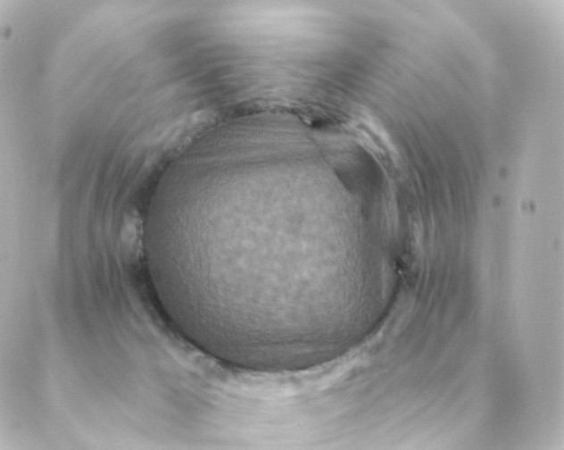 X0000088880029200706221825