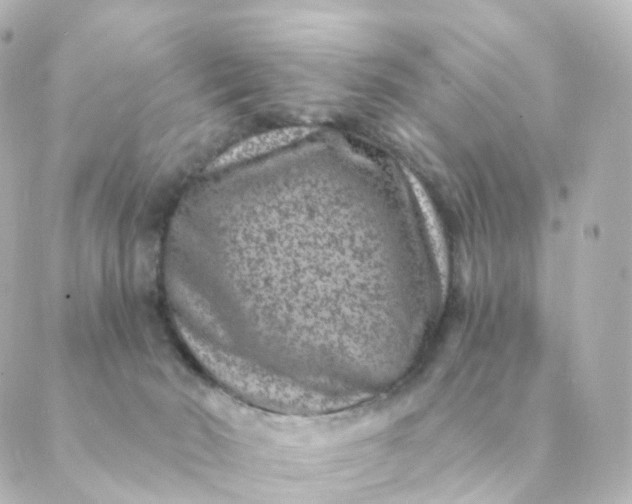 X0000088880030200706221825