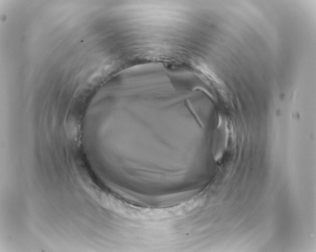 X0000088880031200706221825