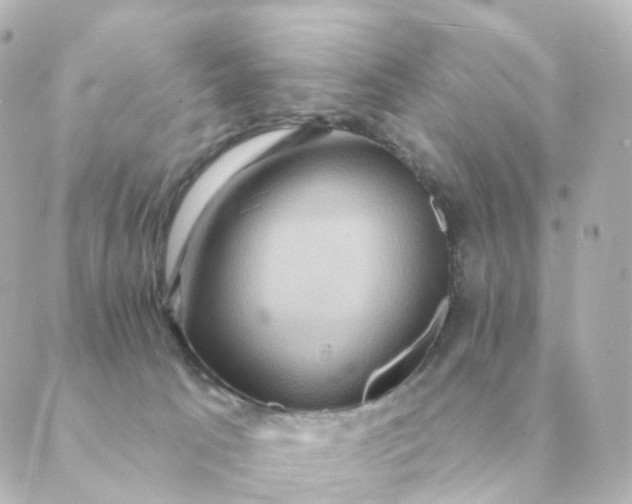 X0000088880033200706221825