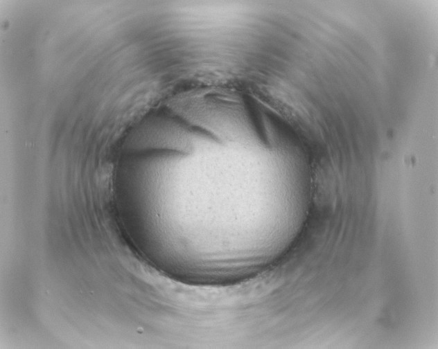 X0000088880034200706221825