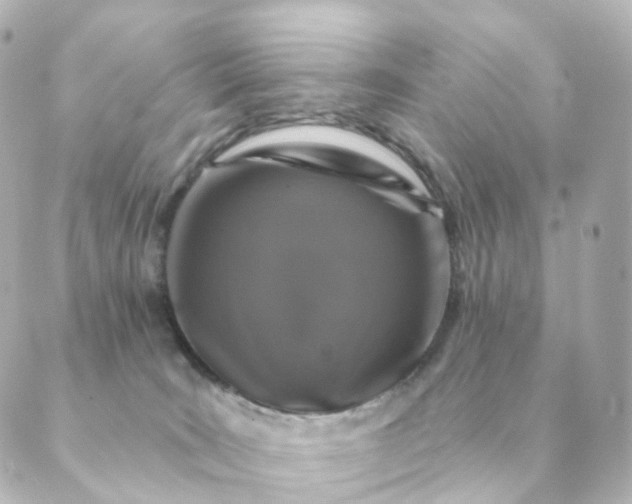 X0000088880035200706221825