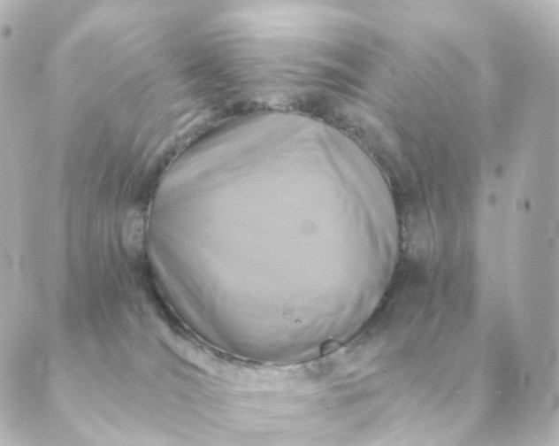 X0000088880036200706221825