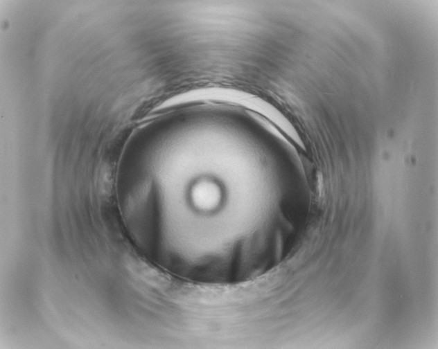 X0000088880037200706221825