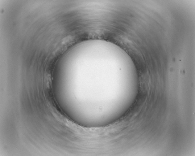 X0000088880038200706221825