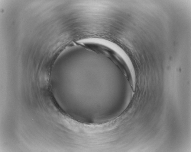 X0000088880039200706221825