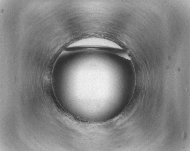 X0000088880040200706221825