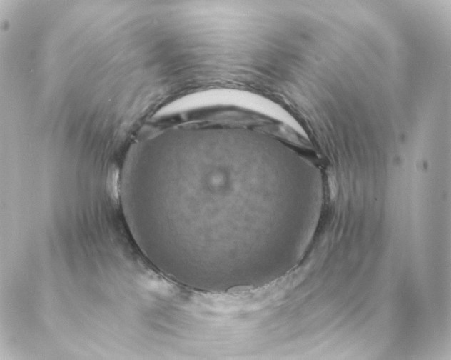 X0000088880041200706221825