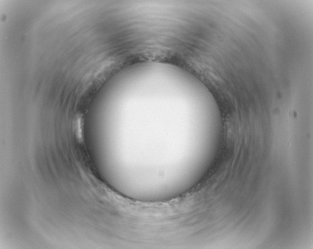 X0000088880042200706221825