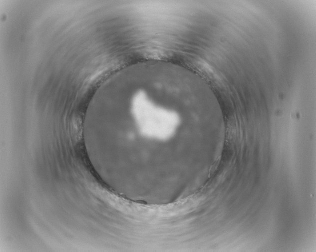 X0000088880043200706221825