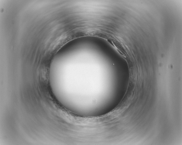 X0000088880044200706221825