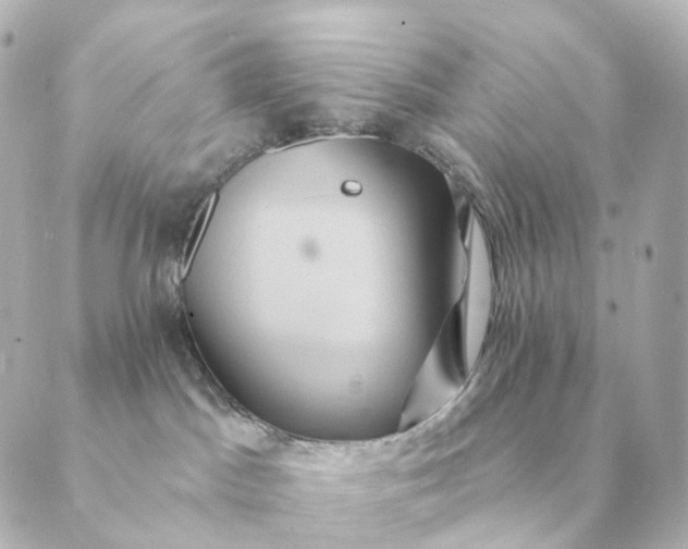 X0000088880045200706221825