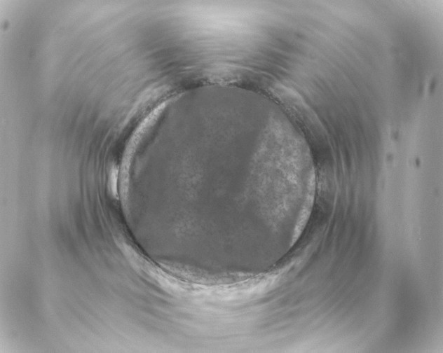 X0000088880046200706221825