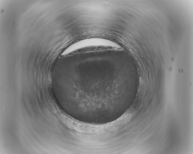 X0000088880048200706221825