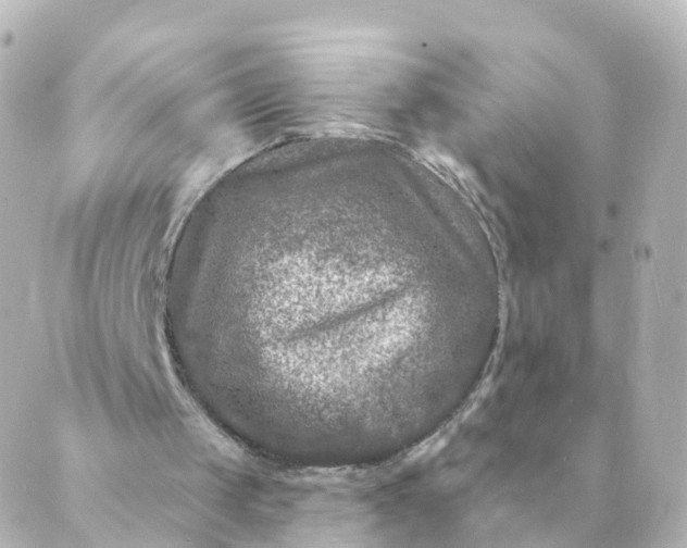 X0000088880049200706221824