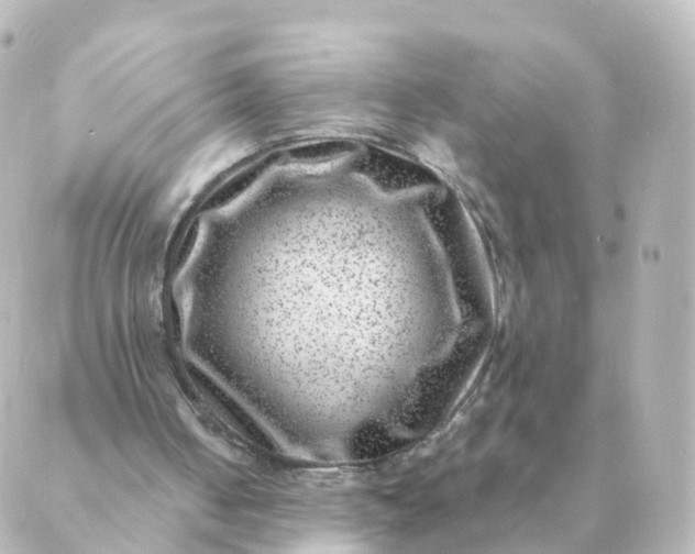 X0000088880050200706221824