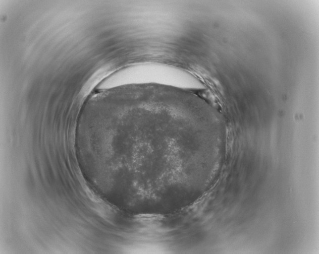 X0000088880051200706221824