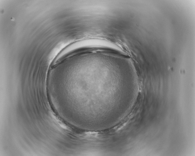 X0000088880052200706221824