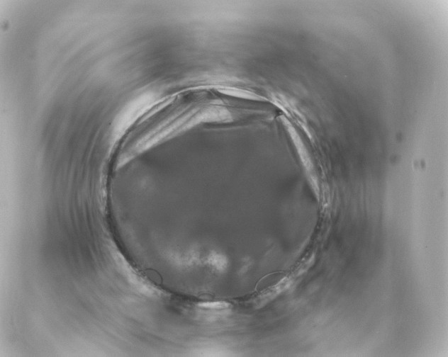 X0000088880053200706221824