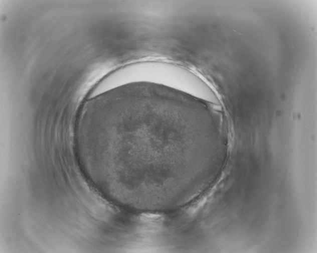 X0000088880055200706221825