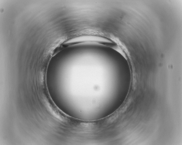 X0000088880057200706221825