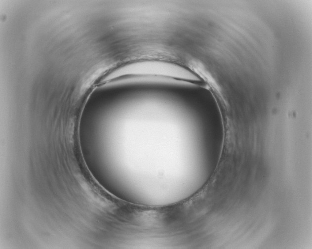 X0000088880058200706221825