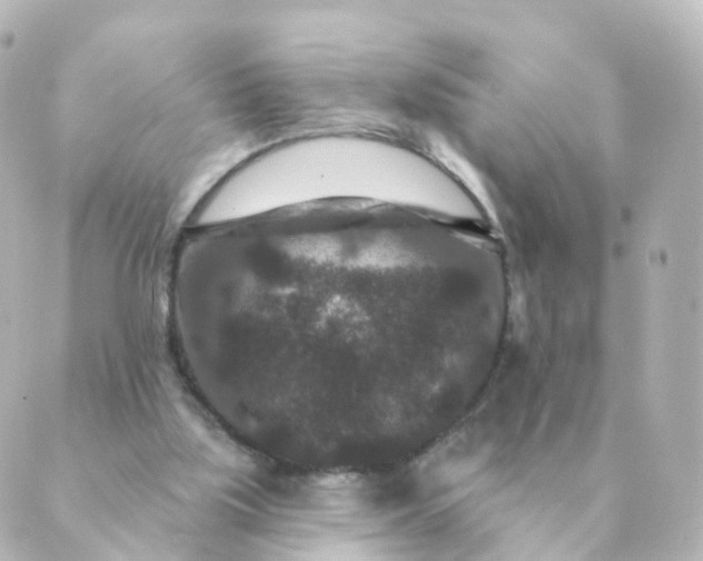 X0000088880059200706221825