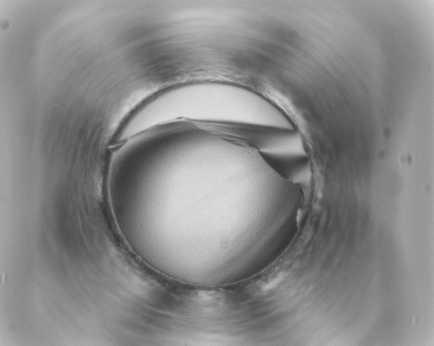 X0000088880060200706221825