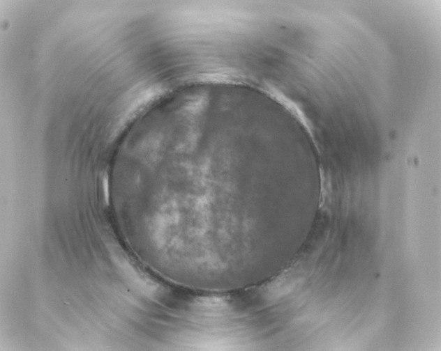 X0000088880061200706221825