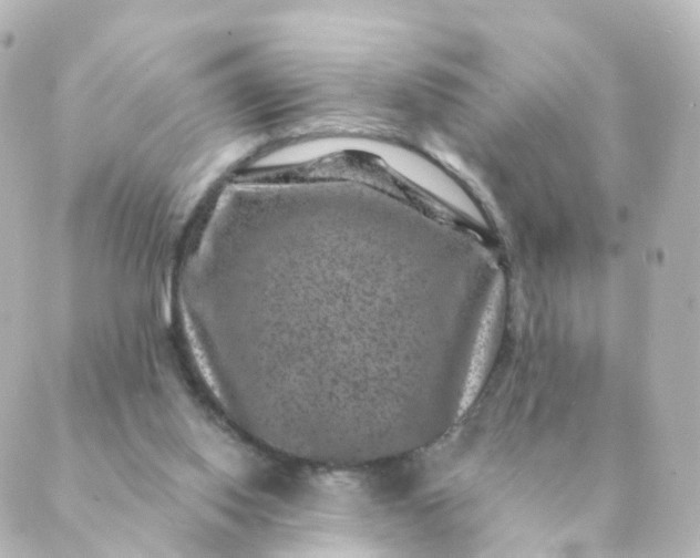 X0000088880062200706221825