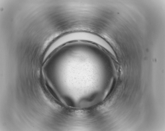 X0000088880064200706221825