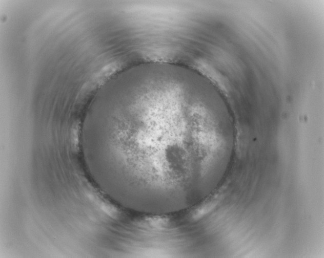 X0000088880065200706221825