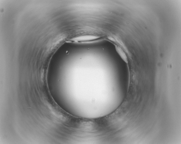 X0000088880066200706221825