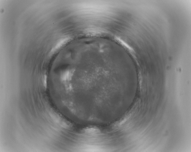 X0000088880067200706221825