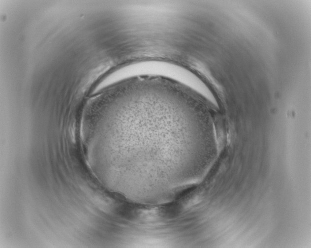 X0000088880068200706221825