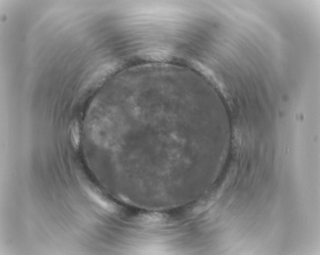 X0000088880069200706221825