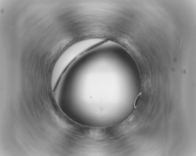 X0000088880070200706221825