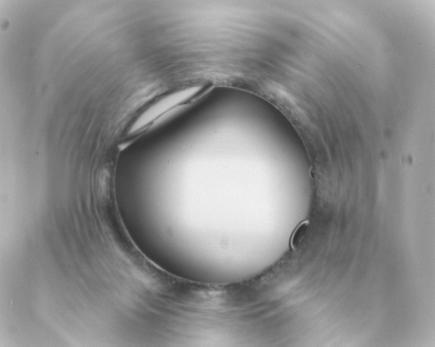 X0000088880071200706221825