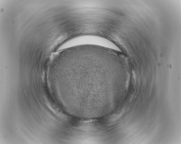 X0000088880072200706221825