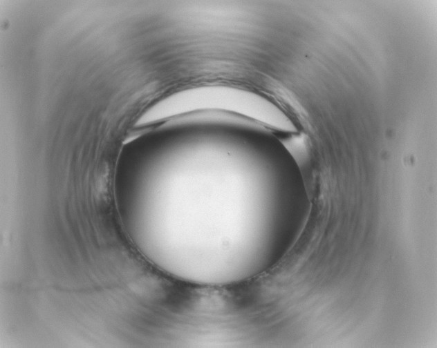 X0000088880073200706221825