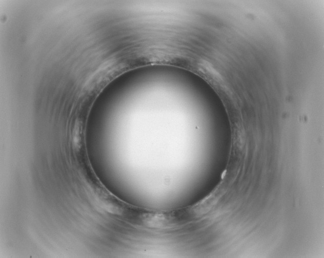 X0000088880074200706221825