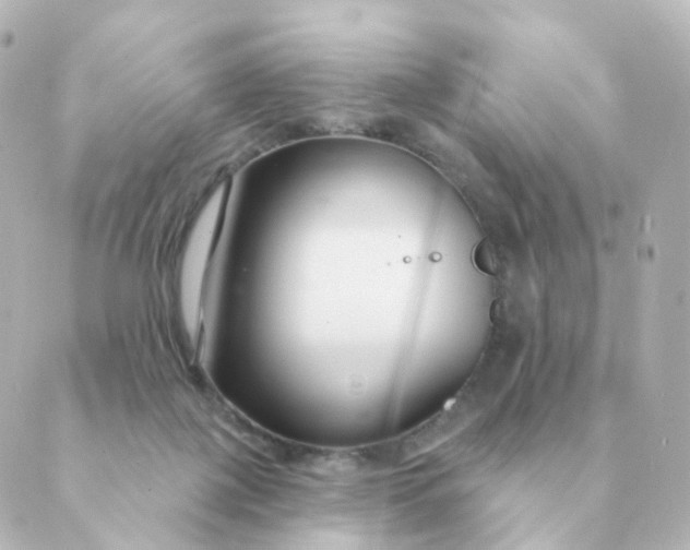 X0000088880075200706221825