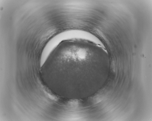 X0000088880076200706221825