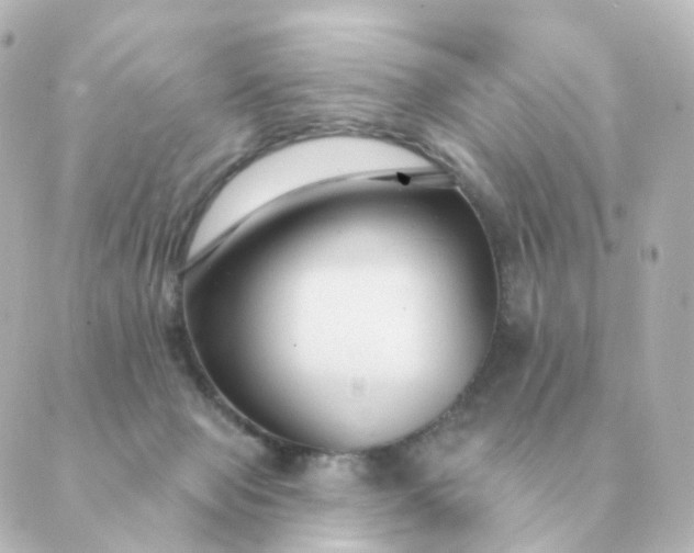 X0000088880077200706221825