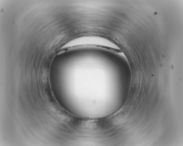 X0000088880078200706221825