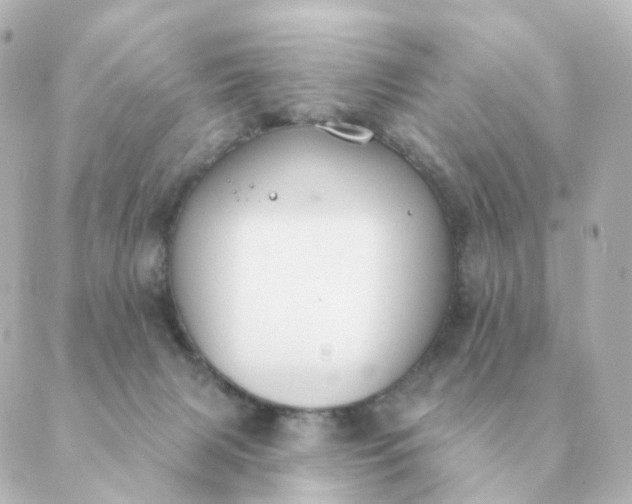 X0000088880079200706221825