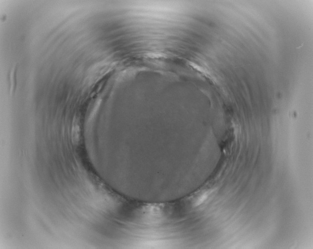 X0000088880080200706221825