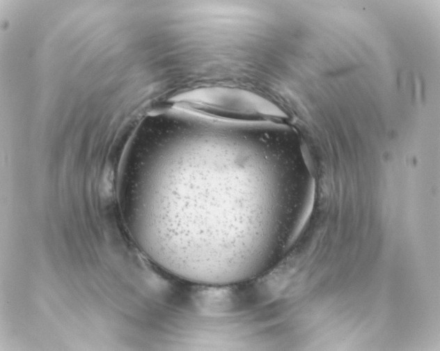 X0000088880081200706221825