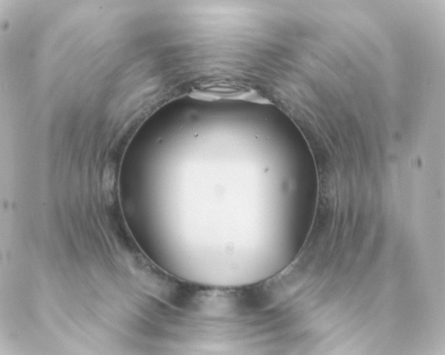 X0000088880082200706221825