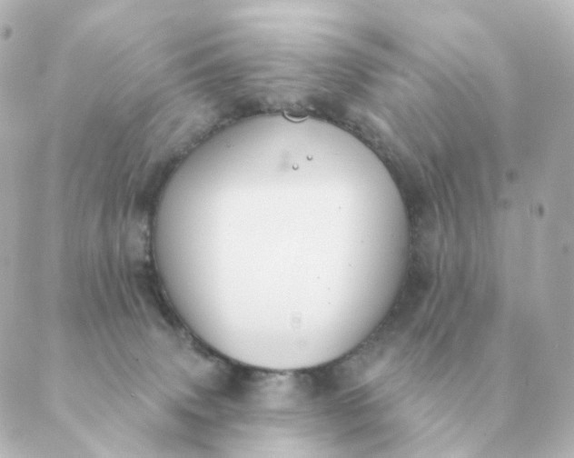 X0000088880083200706221825